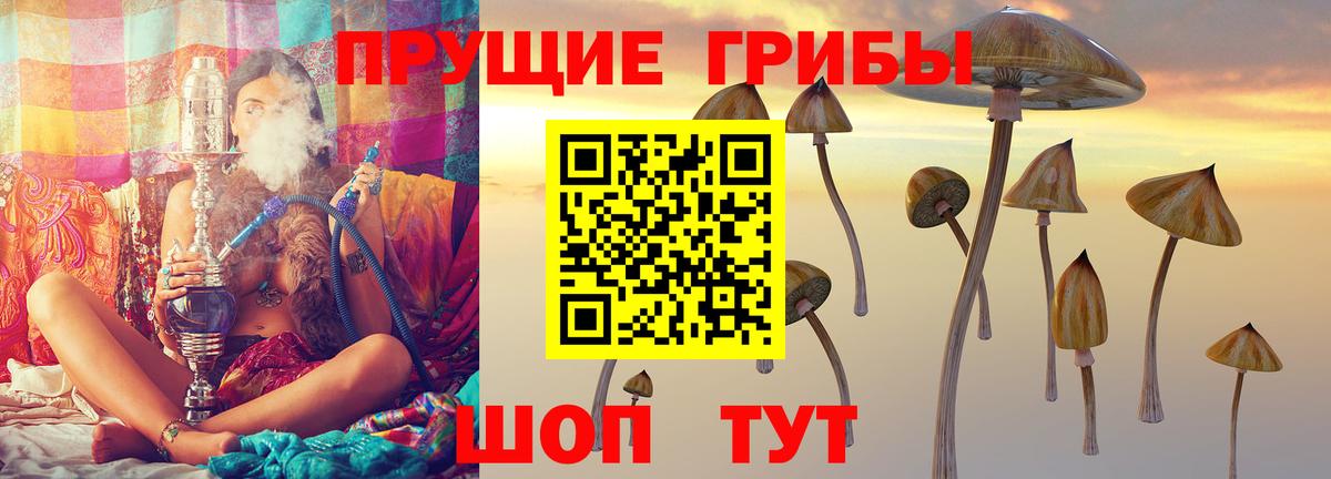 Галлюциногенные грибы Psilocybe Ялуторовск